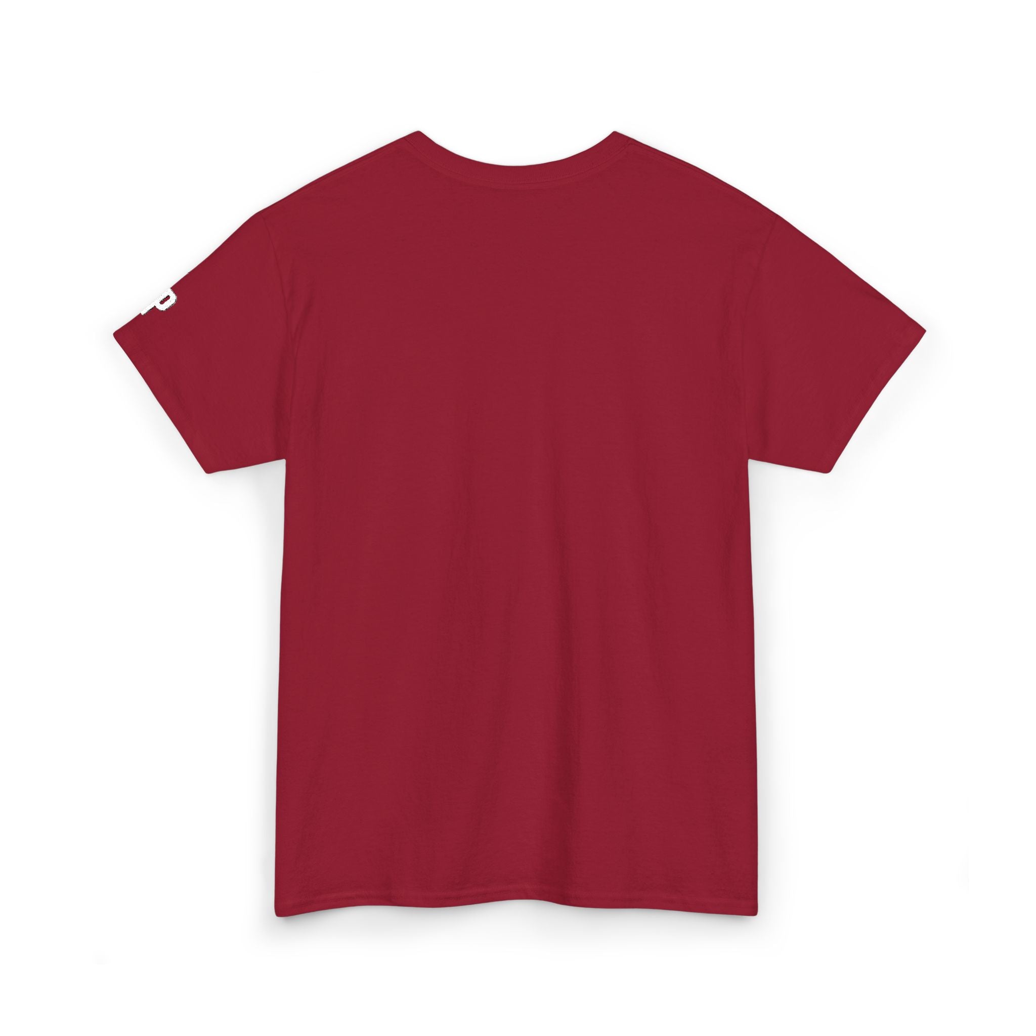 Epic Unisex Heavy Cotton Tee - Casual Tee, Graphic T-Shirt, Everyday Wear, Gift for Creative Souls, Cool Casual Outfit